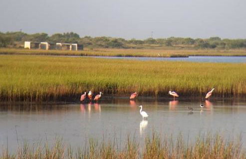 Las Casitas on Magnolia Beach - Casita A - Foto 21