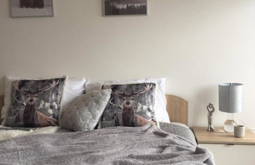 PIĘKNE MIEJSCA apartament z widokiem na góry - APARTZAKOP - Foto 1