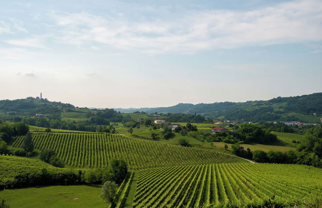 Tenuta Castagnera - Photo 58