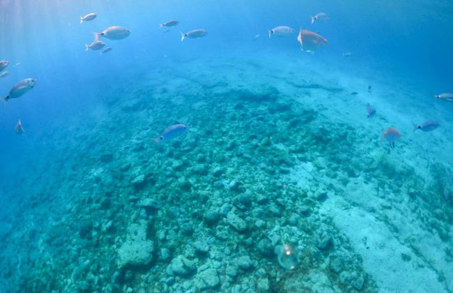 Crociera e snorkeling all'Isola di Lobos da Corralejo - Foto 13