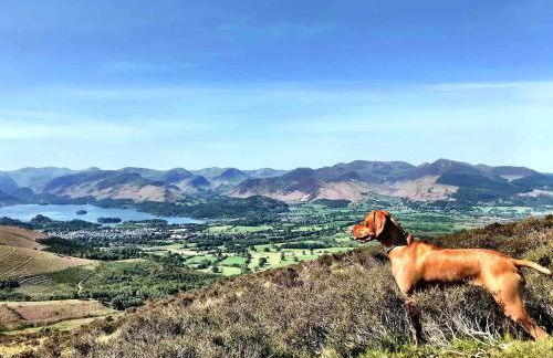 Cosy Cottage on edge of Lake District - Foto 20