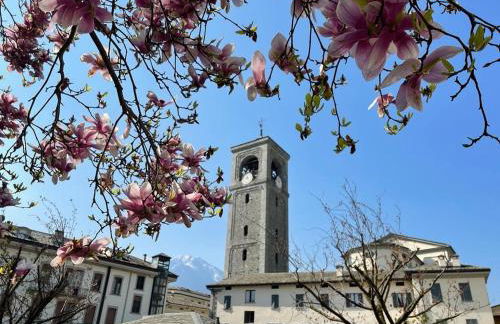 Appartamento La Baita Case Sondrio Fiume - Affitti Brevi Italia - Foto 21