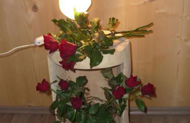 Apartments Resi - Foto 41