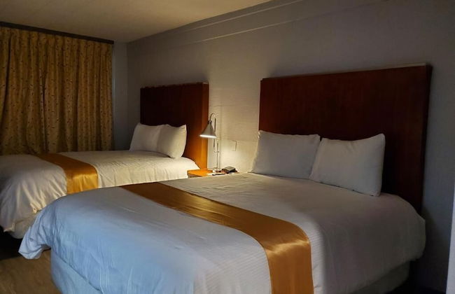 Happy Bay - Photo 13