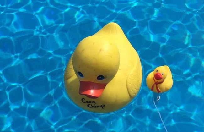 Holiday Apartment Casa Chimp 1 - Foto 14