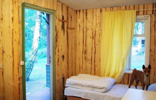 Asmonai Campsite - Photo 5