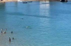 Barra Premium - Foto 40