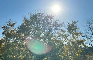 Wine Country Farmhouse - Foto 50