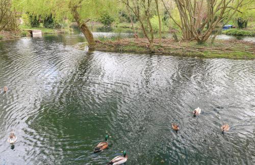 Kingfisher Lodge - Foto 25