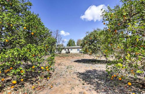 Escondido Vineyard Estate Walk to Wineries! - Foto 35