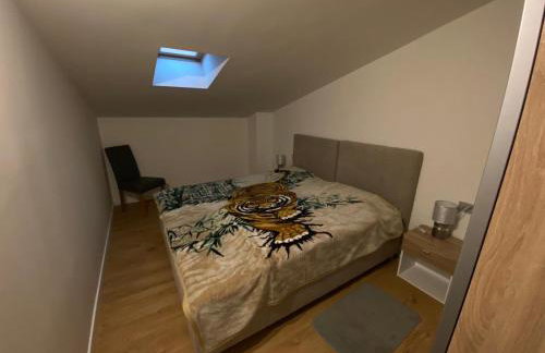 Apartments Dragica - Foto 20