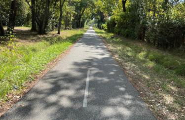 BASSIN D'ARCACHON, Maison vacances climatisée au calme, proche plage - Foto 49