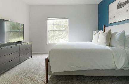 Landing Beautiful 2BD in Bee Cave - Photo 47