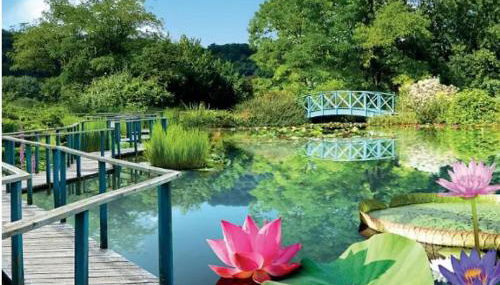 Maison en Périgord - Foto 3