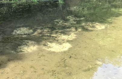 Majestic Maples on Kentuck Lake in Eagle River WI - Foto 39