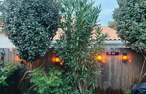 Cocon entre presqu'île du Cap Ferret et plages océanes - terrasse - 1 vélo gratuit - Foto 28