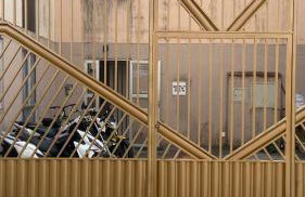 Orquídea de Maria - Photo 12