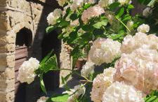 LA CHASCONA DI FARNESE casa di tufo nel borgo - Foto 40