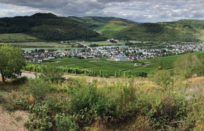 Gezellig Huisje - Foto 16