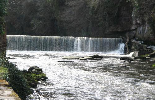 Quay Cottage - Foto 23