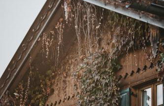 Ferienwohnungen Holler - Foto 35