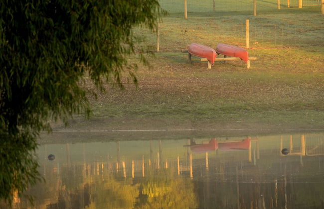 Diamond Forest Farm Stay - Foto 45