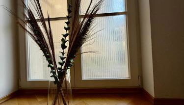 Modernes Apartment im Süden Leipzigs - Foto 3