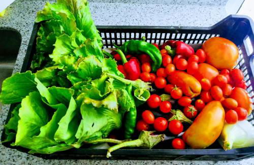 Cal PAU DE LA GRALLA - Foto 34