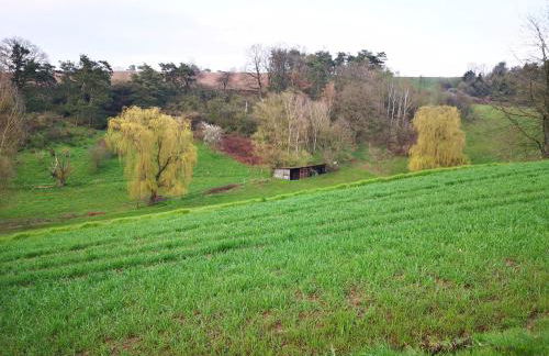 Schrauts Unwesen - Photo 48