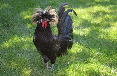 Avila Beach Retreat - Foto 33