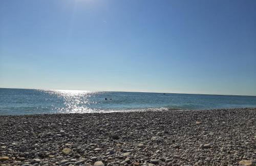 La Voce della Natura - Foto 24