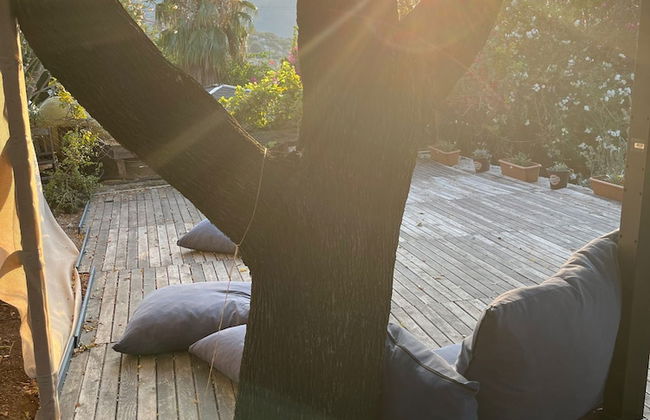 Palmira Selimiye - Foto 21