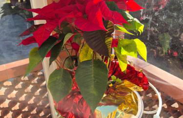 La Casa Del Giardino Degli Olivi - Foto 17