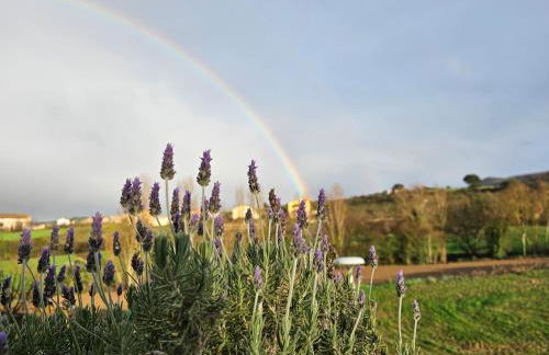 Casa Nahia Hostal Rural - Foto 70