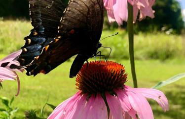 The Barn House - Foto 35