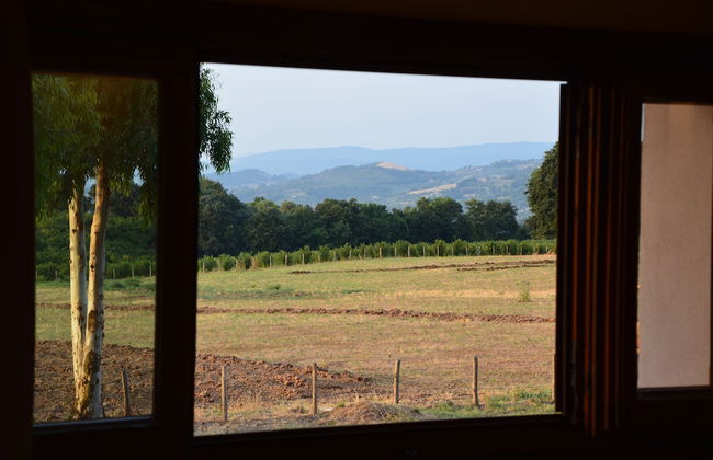 Fattoria Lucciano - Foto 21