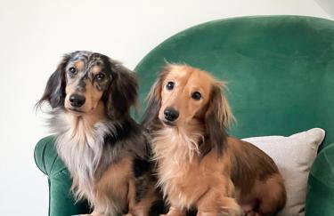 Oak Tree Hideaway - Foto 63