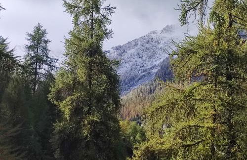 studio 24M, cool les Orres 1650 - Photo 35