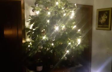 Ferienwohnungen Sternenhimmel WHG 1 - Foto 62