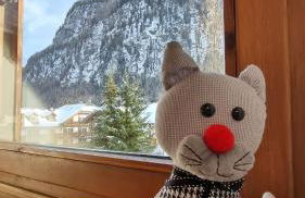 Cèsa Pier Sellaronda Dolomiti - Foto 7