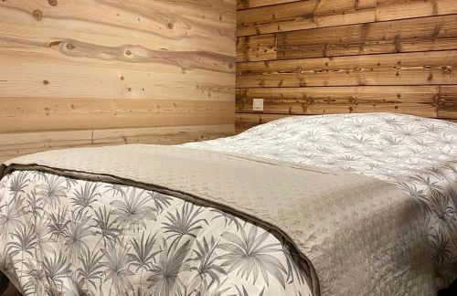 Appart 8 pers ac Jacuzzi portes du soleil La Chapelle-Chatel - Photo 14