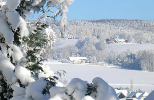 Ferienwohnung Flöhatalblick - Foto 42