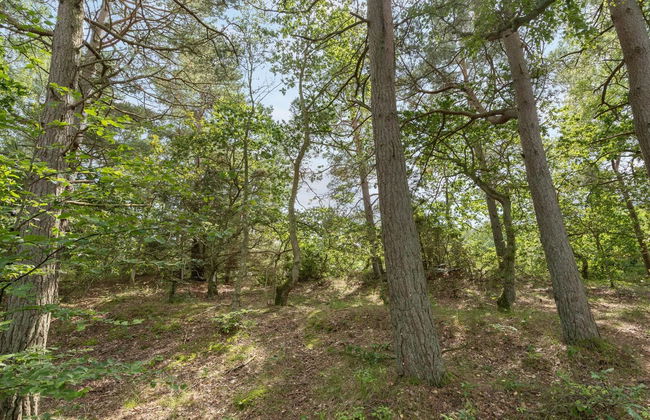 "Ros" - 350m from the sea - Foto 3