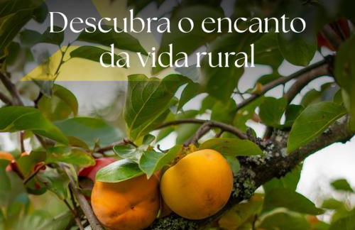 Refúgios do Rio Dão - Foto 22