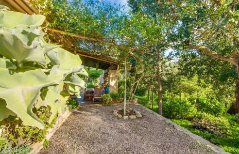 Higo Chumbo - Foto 22