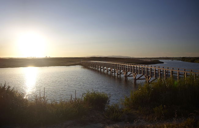 Salgados Beach Villas - Photo 33