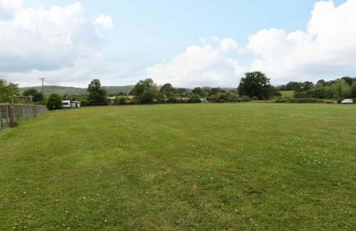 The Turbles - Wagtail - Foto 19