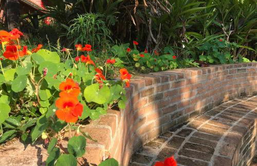 Casa Crudo, PRIVACIDADE NA MATA ATLÂNTICA, piscina, trilhas e descanso - Foto 21