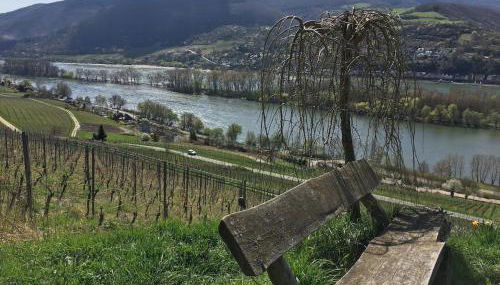 Ferienwohnung Fine - Foto 3