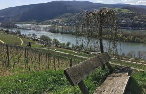 Ferienwohnung Fine - Foto 3